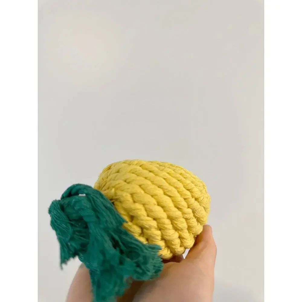 Monli Handcrafted Handmade Sustainable Pineapple Rope Toy